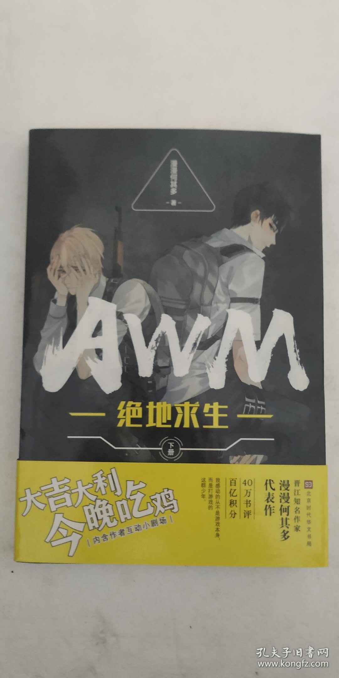 AWM绝地求生讲的什么