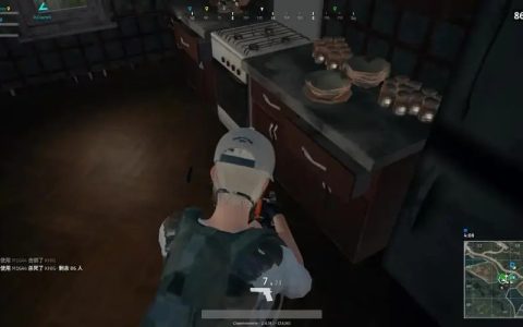 绝地求生RST辅助食品哪个好？怎样的才算是好的 辅助 ？