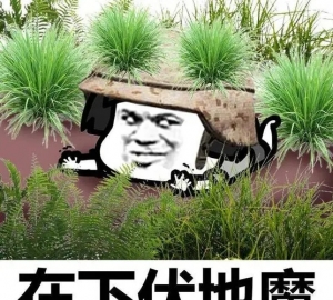 国产美女导航在线观看 绝地求生533卡盟的雷达辅助的功能如何？