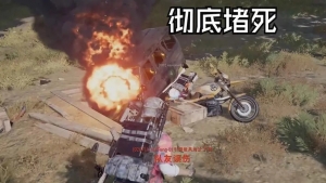 国产免费成人性爱视频 绝地求生800卡盟平台玩家揭秘躲闪技巧