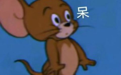 绝地求生凯旋辅助,绝地求生，凯旋辅助的伦理边界与技术探索