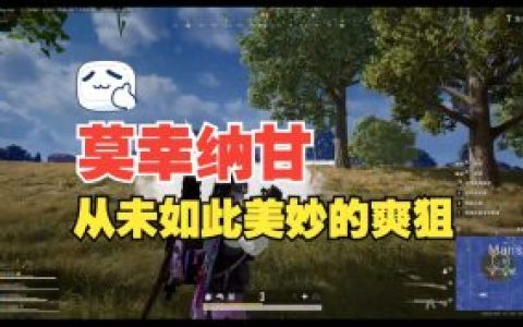 绝地求生快捷射击辅助制作,探索与争议，绝地求生快捷射击辅助制作的双面镜
